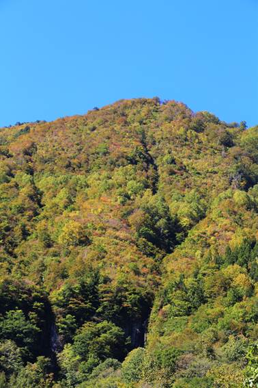 10月14日の秋山郷 | 栄村復興への歩み（被災情報ブログ）