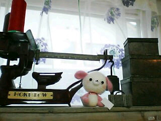 060506_1118~02001.JPG