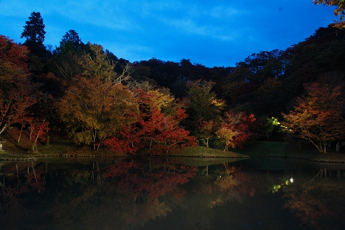 用作公園