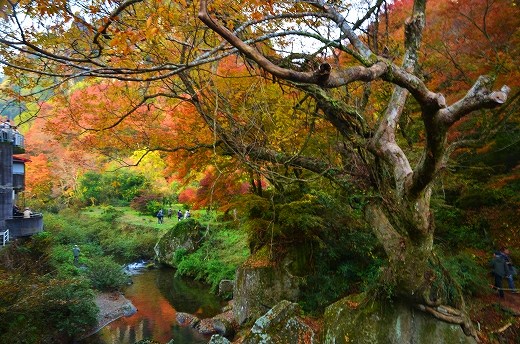 一目八景