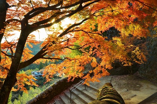 岡城跡