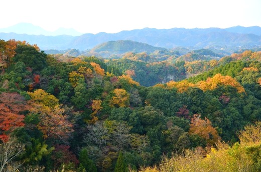 岡城跡