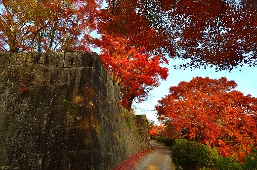 岡城跡