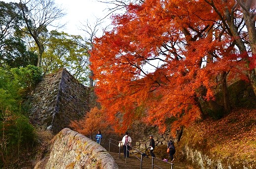 岡城跡