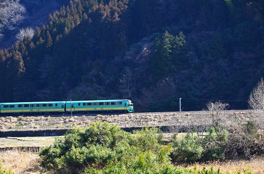 湯布院の森号