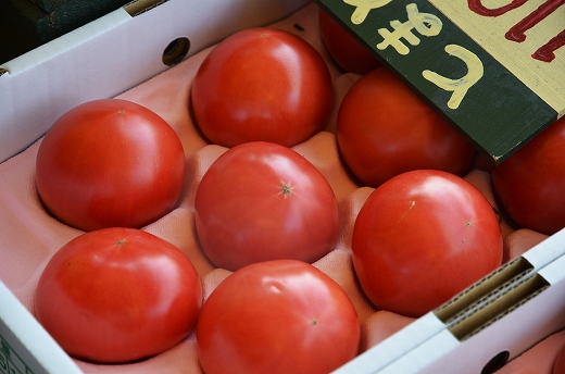トマトファーム