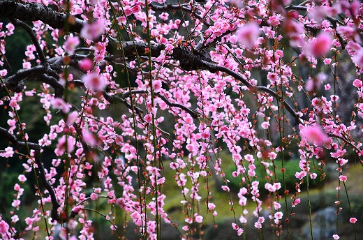 南立石公園