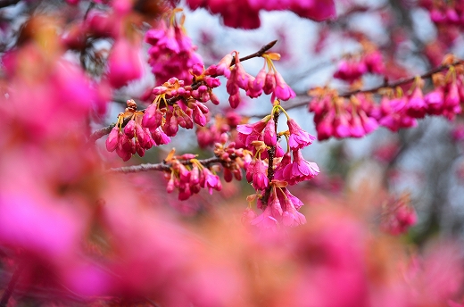 南立石公園