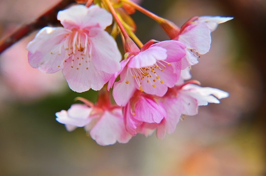 南立石公園