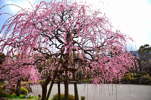 南立石公園