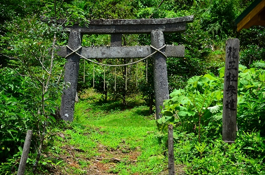 トトロのバス停