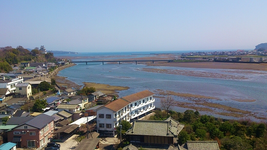 杵築 松樹