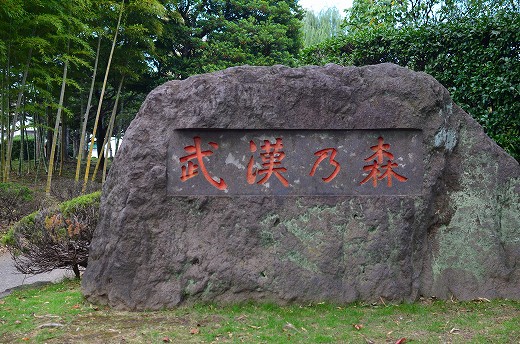 武漢の森