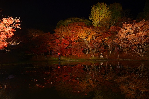 用作公園の紅葉&ライトアップ