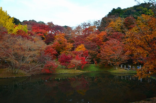 用作公園の紅葉&ライトアップ