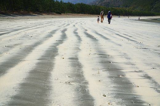 波当津海岸