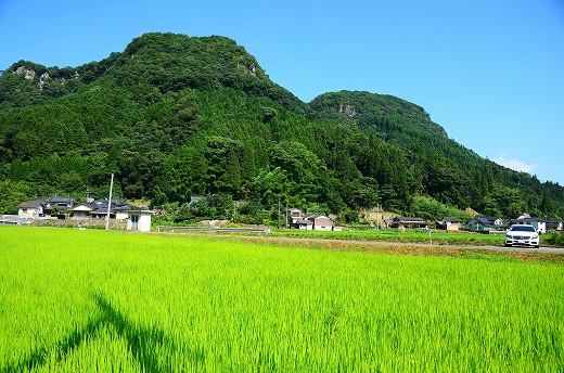 蛍茶園Tenjiku