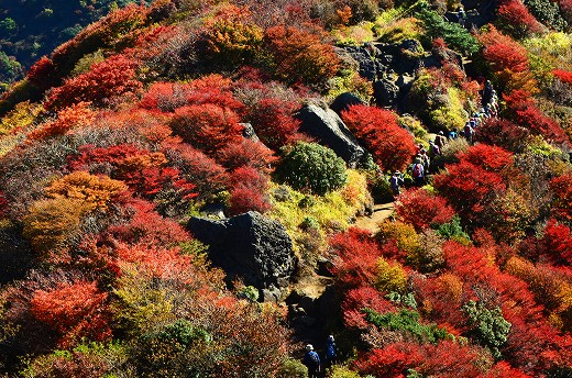 くじゅう連山 紅葉 2015