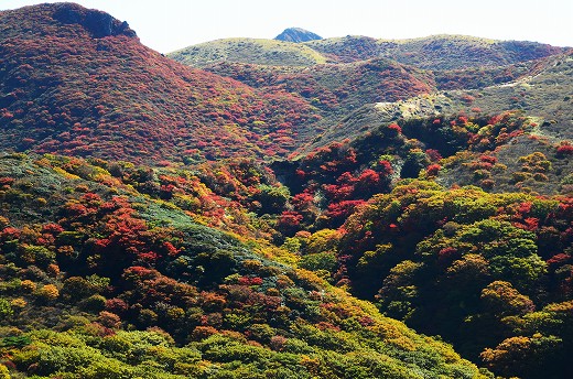 くじゅう連山 紅葉 2015