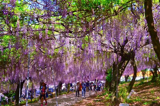 四日市 千財農園