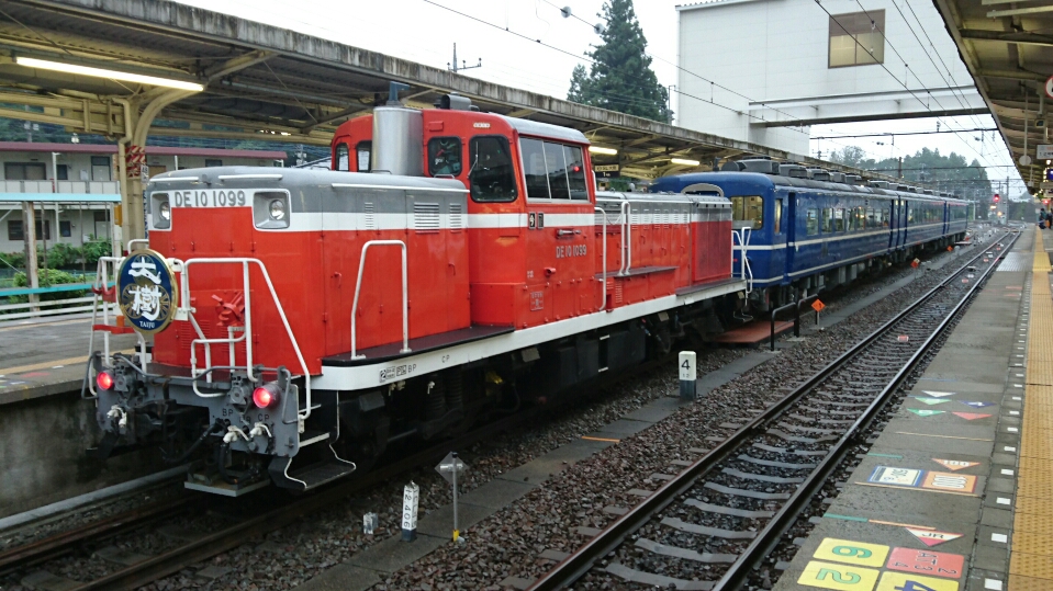 DSC_0610.JPG