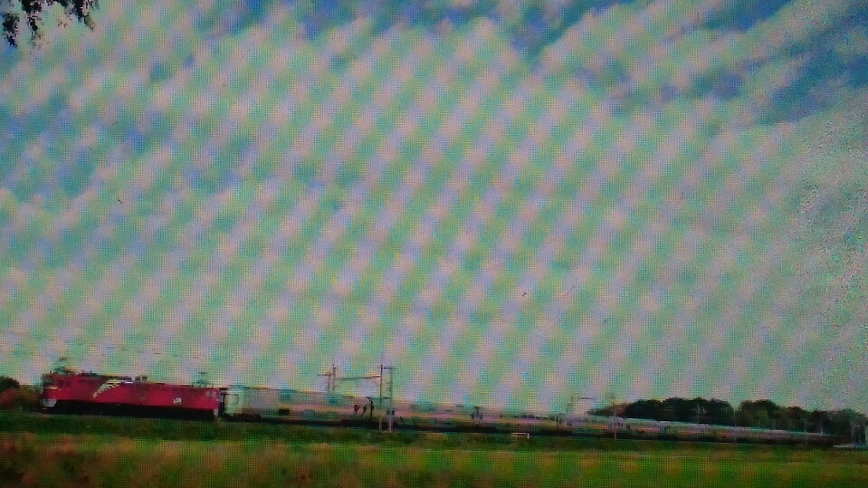 20181105_2703746.jpg