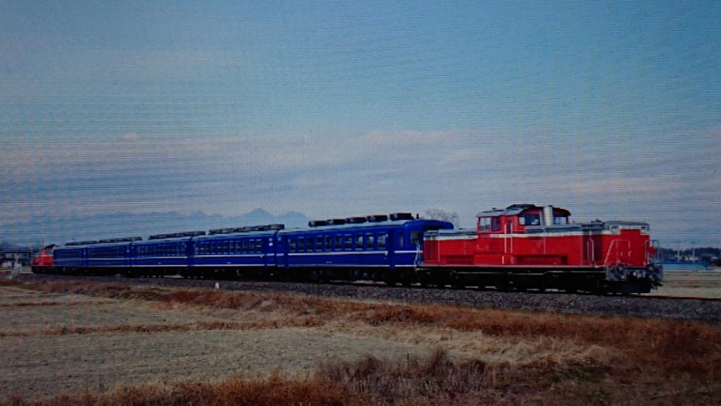 20190210_2757632.jpg