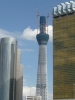 skytree
