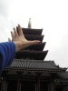 塔
