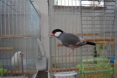 ん?