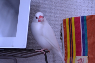心配しましたぞ