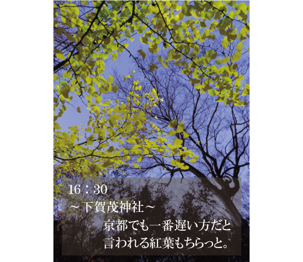 下賀茂神社