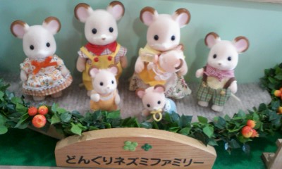 どんぐり