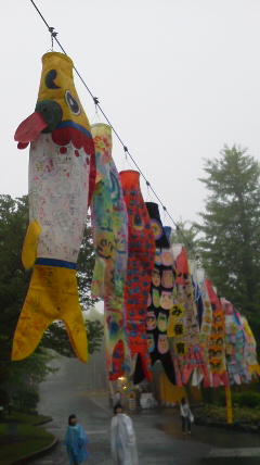 2015050315400000.jpg