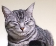 ̲¤¤¤é¤é