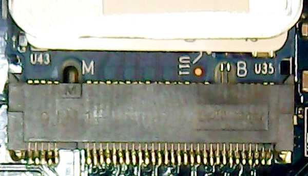 DEL M2¥³¥Í¥¯¥¿ Bkey̵ MkeyÍ¡¢ SSD BkeyÍ MkeyÍ DEL M2¥³¥Í¥¯¥¿ Bkey̵ MkeyÍ¡¢ SSD BkeyÍ MkeyÍ