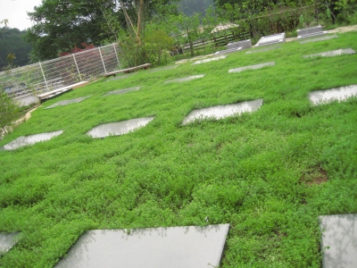 20140621_23.JPG