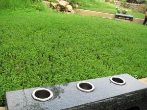 20140621_26.JPG