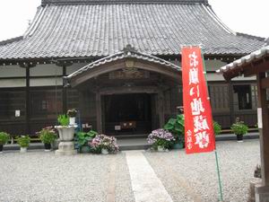 20140621_18.JPG