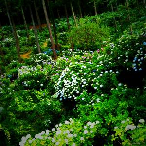 20140621_27.JPG