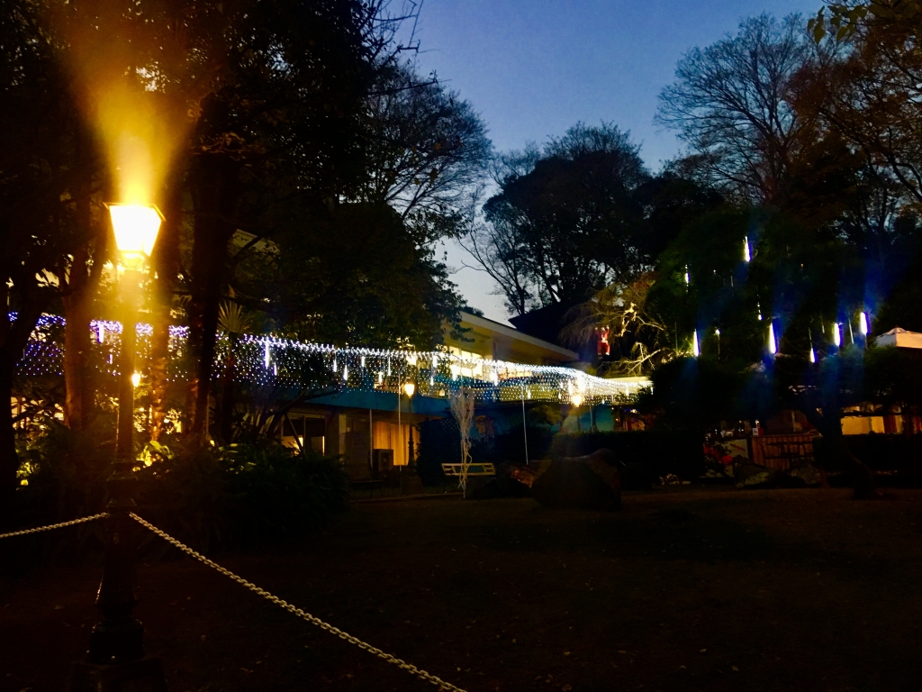 image1.jpeg