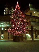 Merry Christmas!
