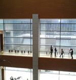 東京都現代美術館