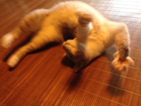 フック
