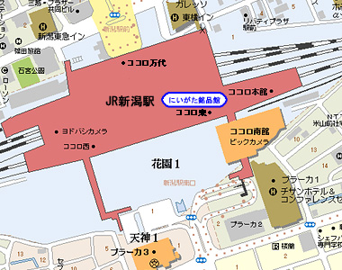 白龍酒造の酒の試飲会 新潟駅ビルCoCoLo東「にいがた銘品館」