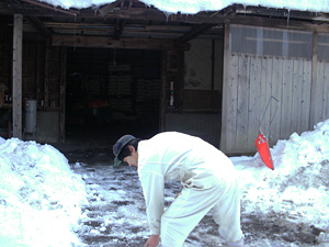 雪除け