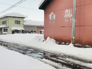 会社