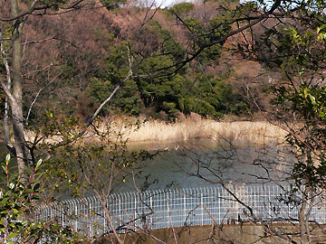 すっかり冬景色の猫ヶ洞池08年2月17日