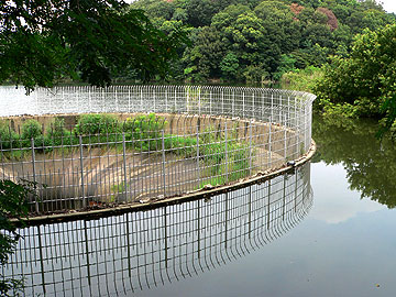 猫ヶ洞池09年8月16日
