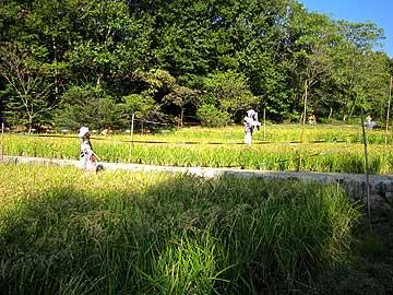 田圃12年10月21日